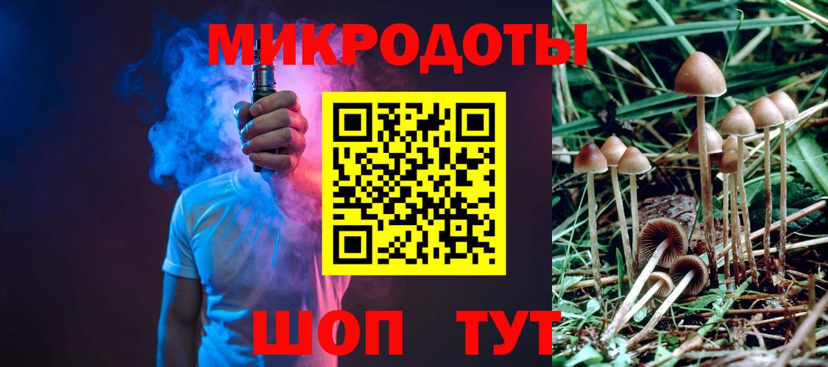 Галлюциногенные грибы мицелий Горно-Алтайск