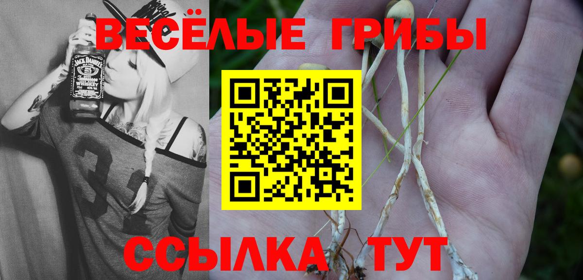 Псилоцибиновые грибы GOLDEN TEACHER  хочу наркоту  Вход с VPN  Горно-Алтайск  Псилоцибиновые грибы Psilocybe 