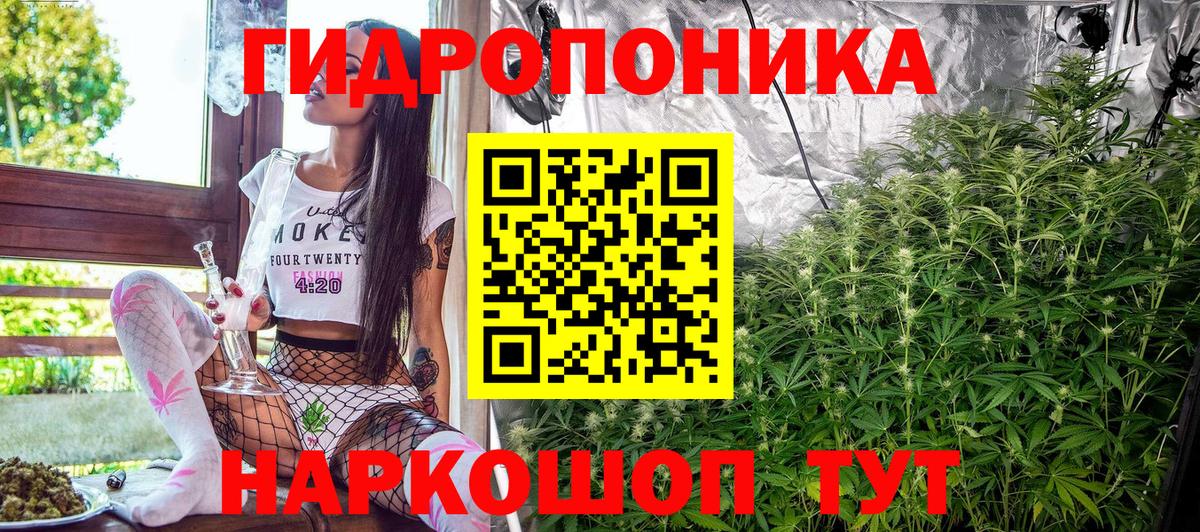 Горно-Алтайск  Бошки марихуана OG Kush  Канабис план  МАРИХУАНА White Widow  Вход с VPN 